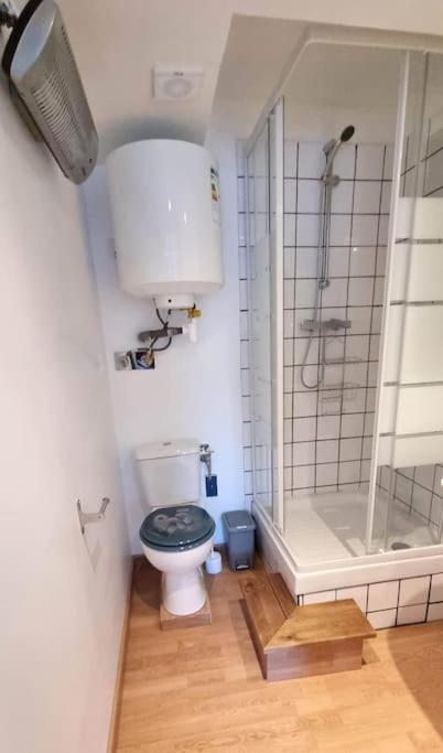Studio En Rez De Jardin Avec Terrasse Privee - Le Petit Chateau Avesnois - Tv - Wifi - Logement Complet Avesnes-sur-Helpe Экстерьер фото