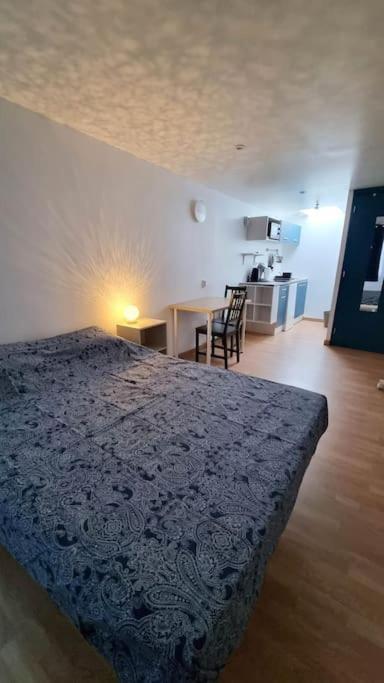 Studio En Rez De Jardin Avec Terrasse Privee - Le Petit Chateau Avesnois - Tv - Wifi - Logement Complet Avesnes-sur-Helpe Экстерьер фото
